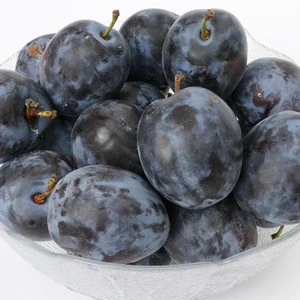 Quality Juicy Fresh Plums for Sale