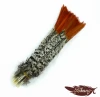 Red Tipped Lady Amherst Pheasant Feathers