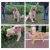 Import Reflective Round PP Rope Dog Slip Training Lead Walking Running Leash,Pet Products Supplies Dog Training Leash With Soft Handle from China