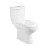 Import Sanitary wares ceramic water closet white color wc toilets bowl pedestal basin set washdown two piece twyford ghana toilet from China