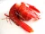 Import Scarlet Shrimps( Carabineros/ Plesiopenaeus edwardsianus) from Suriname