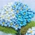 Import SD-4 White flower silk ribbon for embroidery cross stitch from China