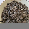 Selling snack food sunflower seeds wholesale price 2021 crop sunflower seed