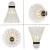 Import Senston high quality international competition goose feather rsl shuttlecock from China