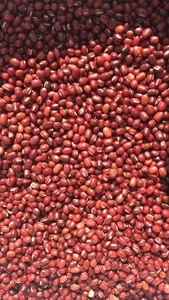 Small Red Beans,   Adzuki bean   2018 crop ,  4.0mm  4.5 mm  5.0mm