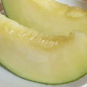 Smooth texture homed honeydew organic fresh fruit melon prices