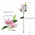 Import Solar Garden Lights Outdoor Lily Flower Solar Lights Multi-Color Changing LED Solar Stake Lights for Garden Patio Backyard Decor from China