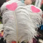 South Africa Grade AA+ ostrich Feather