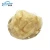 Import Soybean Fiber for textile fabric and filling pillow from China