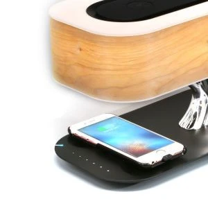 Speaker Waterproof Mini Wireless Speaker Micro USB Slot Mushroom Silicone Suction Cup