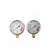 Import Stainless Steel Standard Connection Liquid Pressure Gauge from China