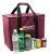 Stock Lunch Bag Custom Best Travel Insulated Picnic Cooler Bag