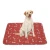 Import Super Absorbency Washable Training Dog Pee Pads Dog Crate  Pee Pads from China