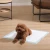 Import Super Absorbent waterproof mat puppy Disposable Polymer Quick Dry No Leaking pee training pads dog from China