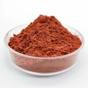 supply 99.8 % min High Quality Cu Powder for conductive paint
