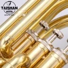 TAISHAN Best Price High Quality Gold Lacquer Tuba