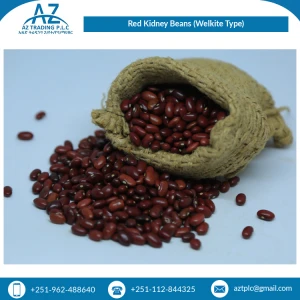 Top Grade Quality 10% Moisture Wholesale Red Kidney Beans from Bulk Supplier