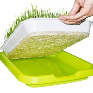 Top quality plastic hydroponic flat bean sprout seedling tray