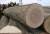 Import Top Quality Timber logs from South Africa