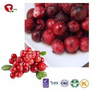TTN China Product Organic Food Dried Fruit Sour Cherry Concentrate Cherry Tomato Fruit