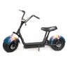 Two Wheel 1000W 48V 10Inch Dual Motor Folded Electric Scooter With Anti-Slip Handle Grip