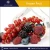 Ukrainian High Quality Natural Organic Frozen Fruits