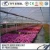 Import Unique design Factory Price Direct supply used garden greenhouse from China