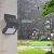 Import Waterproof PIR Outdoor 8 LED Garden Solar Sensor Wall Light from China