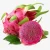 Import (Webchat: cell phone 0938898920 ) Frozen Organic Pink Dragon fruit/ Pitaya from Vietnam
