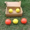 Weighted Baseballs and Softballs for Hitting,Batting and Pitching Practice