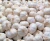Import White Fresh Garlic Ukraine UA from Ukraine