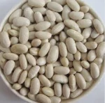 white kidney beans / butter bean / white bean