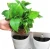 Import White Vegetable Garden Living Wall Indoor Garden Pots Vertical Planter from China