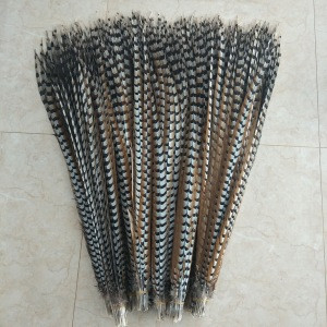 Wholesale 90-100cm Cheap plumas de faisan Natural Reeves Pheasant Tail Feathers