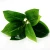 Import Wholesale artificial natural touch taro evergreen big leaves green fake plant from China