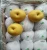 Import Wholesale China fresh Ya pears from China