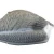Wholesale Corrugated Hunting Goose Shell-Sentry Feeding Resting Decoy for smart hunter
