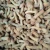 Import Wholesale in Bulk Frozen Mushroom frozen IQF Nameko from China