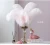 Import Wholesale Large High quality carnival White ostrich feather for wedding decoration from China