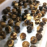 Wholesale natural crystal quartz hand carved marble jade gemstone carving crafts crystal mushrooms for healing