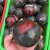 Import Wholesale Natural Dragon Blood  Quartz Crystal Stone Ball Spheres For Sale from China