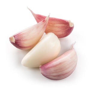 Wholesale Perfect Pact Fresh Garlic sourced from family farms in the USA