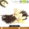 Wholesale Premium Organic Vanilla Beans