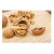 Import Wholesale Supplier Of  Walnuts  Available Fresh Quantity At Cheap Prices from South Africa
