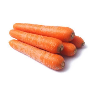 Wholesale Sweet fresh carrot