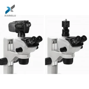 XIANGLU Biological microscope microscope digital microscope for laboratory