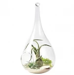 Z765 Hanging Glass Flowers Vase Creative Succulent Air Plant Display Terrarium Decorative Clear Glass vase
