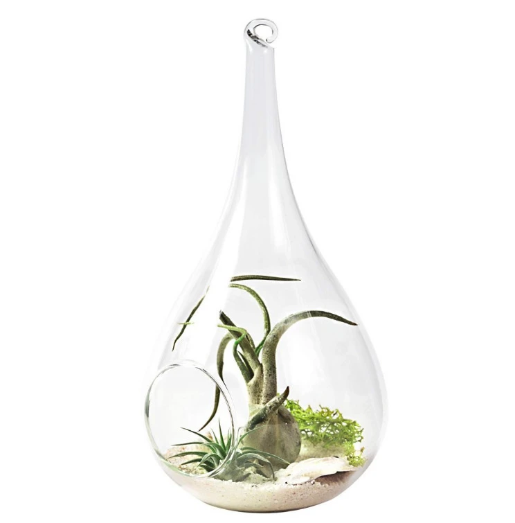 Z765 Hanging Glass Flowers Vase Creative Succulent Air Plant Display Terrarium Decorative Clear Glass vase