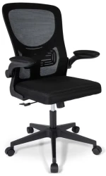 Ergodu Ergonomic Office Chair with Foldable Armrests