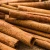 Import Cinnamon stick from Indonesia